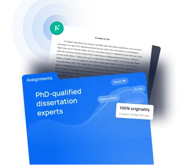 Expert Dissertation Support From U.S.-Based Academic Writers
